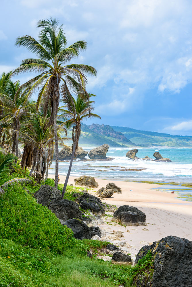 barbados - Landschaftsbild