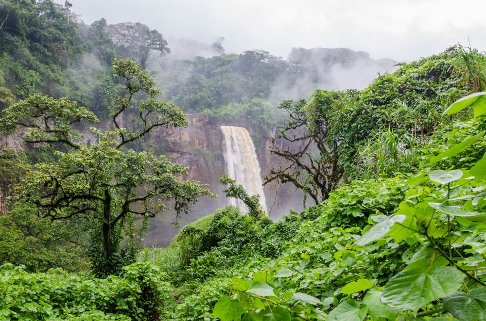 cameroon - Landschaftsbild