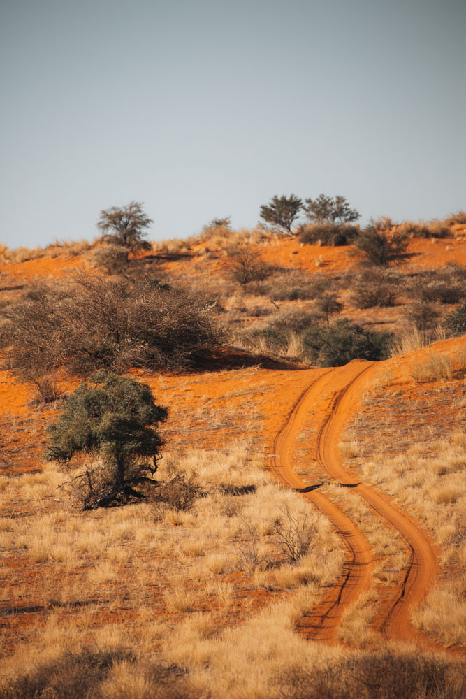 botswana - Landschaftsbild
