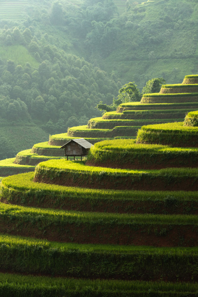 vietnam - Landschaftsbild